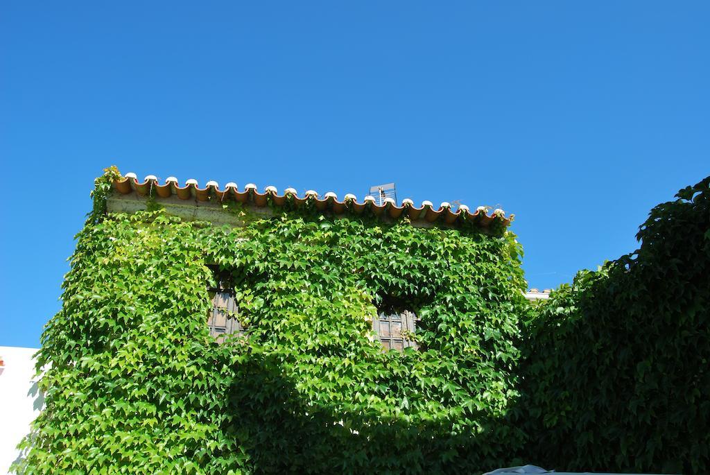 Rio Natural Vila Nova de Milfontes Exterior photo