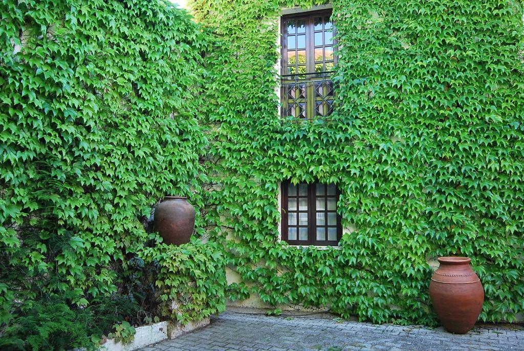Rio Natural Vila Nova de Milfontes Exterior photo