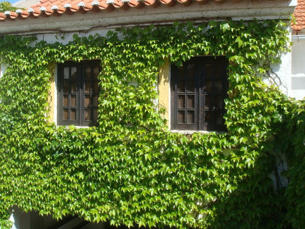 Rio Natural Vila Nova de Milfontes Exterior photo
